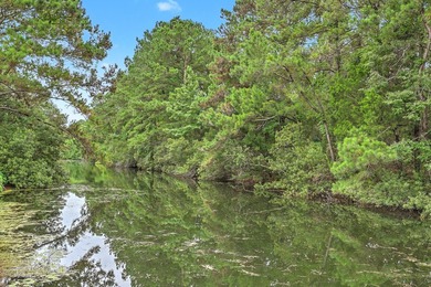 Set on a peaceful cul-de-sac in Mt. Pleasant, 1453 Cypress Court - photo 42