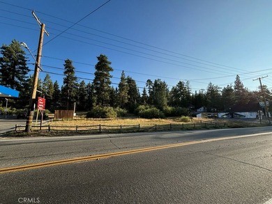 40557 Big Bear Blvd - photo 2