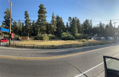 40557 Big Bear Blvd - photo 4