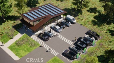 40557 Big Bear Blvd - photo 9