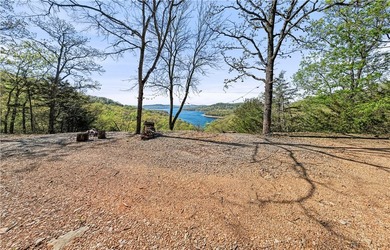 Bring your vision to life on Beaver Lake with the opportunity to - photo 11