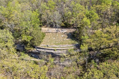 Bring your vision to life on Beaver Lake with the opportunity to - photo 12
