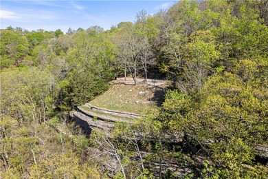 Bring your vision to life on Beaver Lake with the opportunity to - photo 13