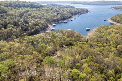 Bring your vision to life on Beaver Lake with the opportunity to - photo 14