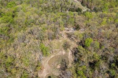 Bring your vision to life on Beaver Lake with the opportunity to - photo 15