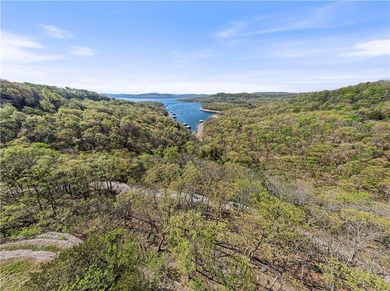 Bring your vision to life on Beaver Lake with the opportunity to - photo 16