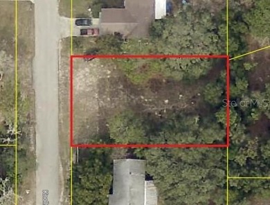 Withlacoochee River Lot Sale Pending in Ridge Manor Florida