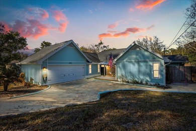 (private lake, pond, coastal) Home For Sale in Mount Dora Florida