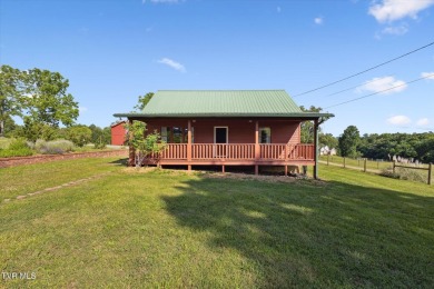 Lake Home For Sale in Johnson City, Tennessee