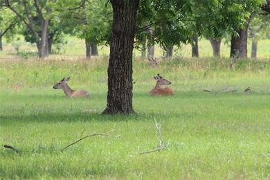 Welcome to The Ranches at Pecan Plantation. Site is complete - photo 3