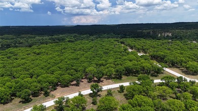 Welcome to The Ranches at Pecan Plantation. Site is complete - photo 8