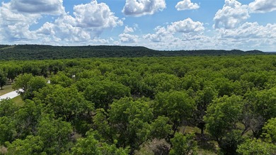 Welcome to The Ranches at Pecan Plantation. Site is complete - photo 10