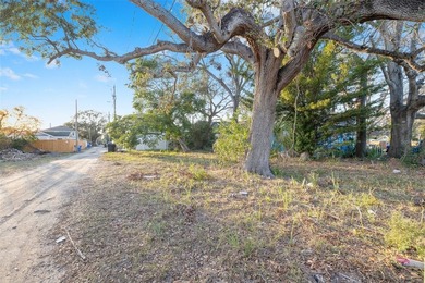 Nestled in one of the most sought-after neighborhoods in St - photo 10
