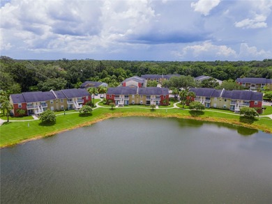 (private lake, pond, coastal) Condo Sale Pending in Brandon Florida
