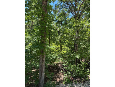 Unique opportunity to own four connected lots in Four Seasons - photo 11