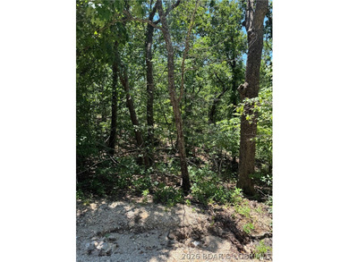 Unique opportunity to own four connected lots in Four Seasons - photo 14