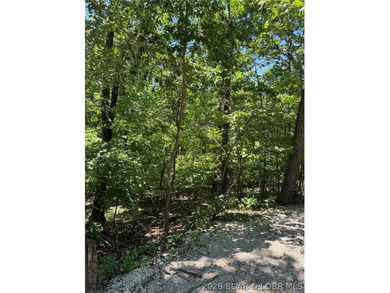 Unique opportunity to own four connected lots in Four Seasons - photo 16