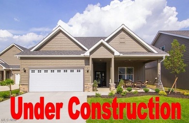 Lake Erie - Erie County Condo For Sale in Huron Ohio