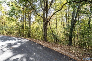 Take the opportunity to own a stunning 63-acre wooded bluffland - photo 2
