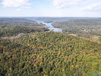 Take the opportunity to own a stunning 63-acre wooded bluffland - photo 3
