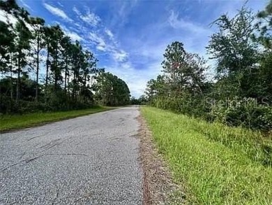 Beautiful Gulf Cove home site in a highly sought after section - photo 4