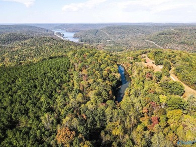 Take the opportunity to own a stunning 63-acre wooded bluffland - photo 4