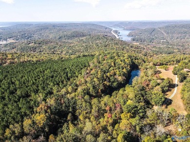 Take the opportunity to own a stunning 63-acre wooded bluffland - photo 5