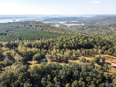 Take the opportunity to own a stunning 63-acre wooded bluffland - photo 6