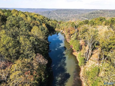 Take the opportunity to own a stunning 63-acre wooded bluffland - photo 7