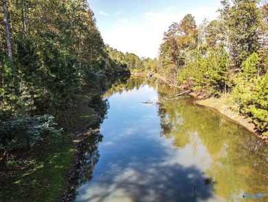 Take the opportunity to own a stunning 63-acre wooded bluffland - photo 8