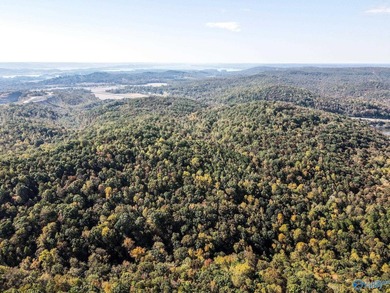 Take the opportunity to own a stunning 63-acre wooded bluffland - photo 9
