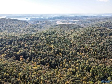 Take the opportunity to own a stunning 63-acre wooded bluffland - photo 10