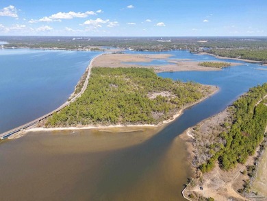 Ever dreamed of owning an ISLAND? Now is your chance! This - photo 2