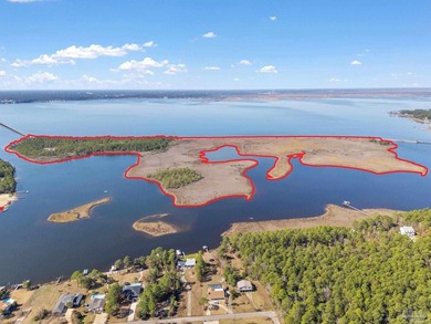 Ever dreamed of owning an ISLAND? Now is your chance! This - photo 9