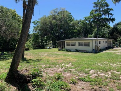 (private lake, pond, creek) Home For Sale in Fruitland Park Florida