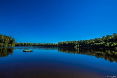 Timber Lake Acreage For Sale in Yulan New York