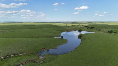 Our company is honored to represent the interests of the Trusler - photo 15