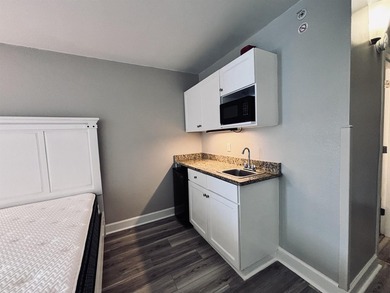 Like-new and fully remodeled, this beautifully updated condo is - photo 16