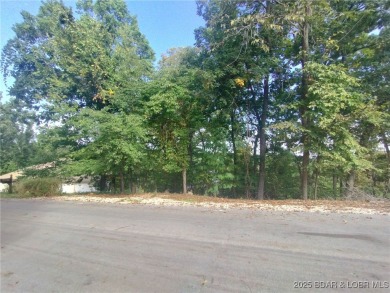 Lake Lot For Sale in Lake Ozark, Missouri