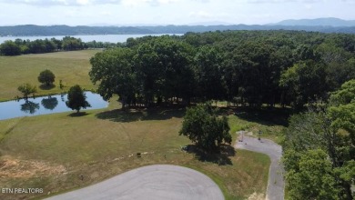 Lake Lot For Sale in White Pine, Tennessee