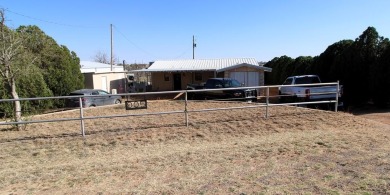 Lake Home For Sale in Colorado City, Texas