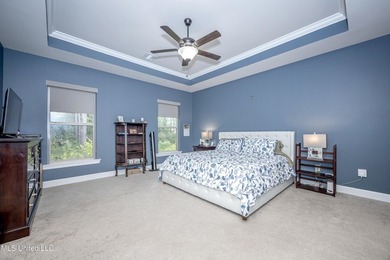 WELCOME TO YOUR DREAM HOME IN OCEAN SPRINGS, MISSISSIPPI! This - photo 28