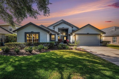 Lake Home For Sale in Valrico, Florida
