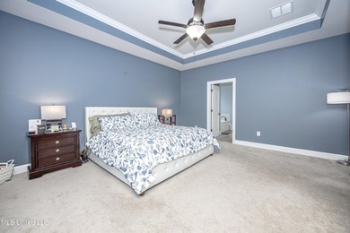 WELCOME TO YOUR DREAM HOME IN OCEAN SPRINGS, MISSISSIPPI! This - photo 31