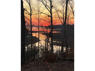 Lake Acreage For Sale in Dover, Tennessee