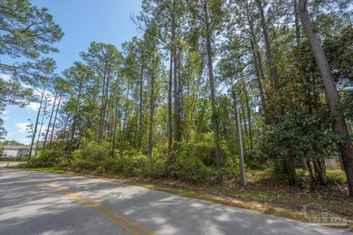 This wooded corner lot offers a beautiful setting to build your - photo 4
