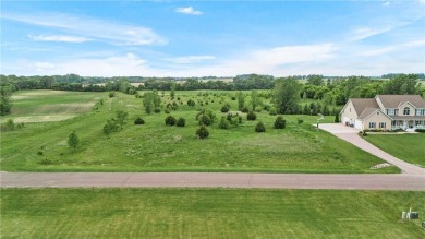 Collinwood Lake Lot For Sale in Dassel Minnesota
