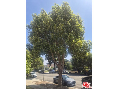 Located on 16th Street just a half block south of Montana Avenue - photo 14