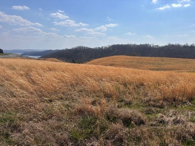 If you love Dale Hollow Lake and have been searching for that - photo 2