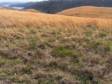 If you love Dale Hollow Lake and have been searching for that - photo 3